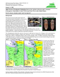 2Entomology Aides (Project) - Washington State Department of Agriculture, Olympia, Washington 2004 Project Objectives