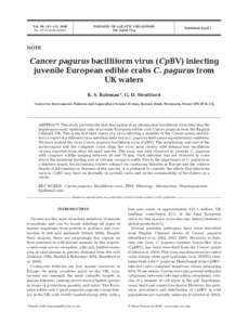 DNA viruses / Hermit crabs / Cancer pagurus / Pagurus / White spot syndrome / Cancer / Virus / Crab / Baculovirus / Phyla / Protostome / Cancroidea