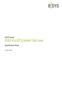 B’SYS GmbH  CHO KVLQT1/minK Cell Line Specification Sheet © B’SYS GmbH