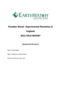 Paradise Wood - Experimental Plantation in England