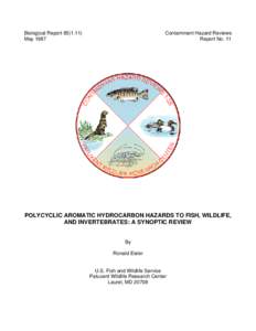 Astrochemistry / Carcinogens / Toxicology / Polycyclic aromatic hydrocarbons / Aromatic hydrocarbon / Fluoranthene / Coal tar / Benzo(a)pyrene / Soot / Chemistry / Medicine / Origin of life