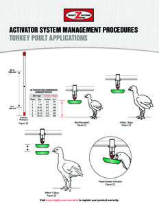 ACTIVATOR SYSTEM MANAGEMENT PROCEDURES TURKEY POULT APPLICATIONS 20 in. 500 mm