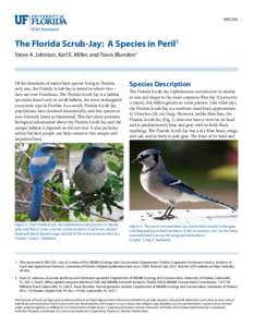 WEC261  The Florida Scrub-Jay: A Species in Peril1 Steve A. Johnson, Karl E. Miller, and Travis Blunden2  Of the hundreds of native bird species living in Florida,