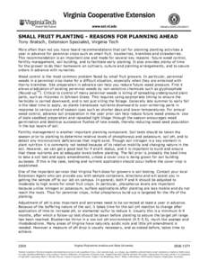 SMALL FRUIT PLANTING - REASONS FOR PLANNING AHEAD Tony Bratsch, Extension Specialist, Virginia Tech More often than not you have heard recommendations that call for planning planting activities a year in advance for pere