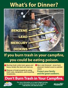 Burning trash emits toxic gases and heavy metals like lead and mercury. Dispose of trash properly by using trash cans, dumpsters, and recycling receptacles.