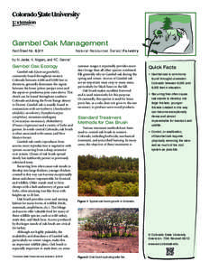 Gambel Oak Management Fact Sheet No.	[removed]Natural Resources Series| Forestry  by N. Jester, K. Rogers, and F.C. Dennis*