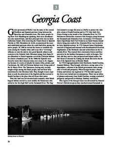 Brunswick metropolitan area / Altamaha River / Lachlan McIntosh / Guale / Bartram Trail / William Bartram / Battle of Bloody Marsh / Savannah /  Georgia / Ossabaw Island / Geography of Georgia / Georgia / Geography of the United States