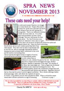 IF YOU WISH A RECOMMENDED DONATION OF 50P  As with most Animal Charities, we struggle to re-home black cats. People often want to re-home the ‘pretty ones’ and leave the black cats sitting in their pen still waiting 