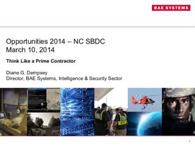 Opportunities 2014 – NC SBDC March 10, 2014 Think Like a Prime Contractor Diane G. Dempsey Director, BAE Systems, Intelligence & Security Sector