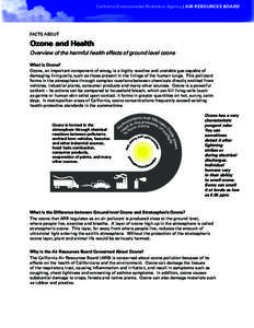 California Environmental Protection Agency | AIR RESOURCES BOARD  FACTS ABOUT Ozone and Health Overview of the harmful health effects of ground level ozone