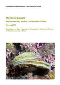 Department for Environment, Food and Rural Affairs  The Swale Estuary Recommended Marine Conservation Zone January 2015 Consultation on Sites Proposed for Designation in the Second Tranche