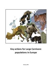 Key actions for Large Carnivore populations in Europe January, 2015  2