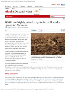 While not highly prized, coyote fur still works great for Alaskans | Alaska Dispatch