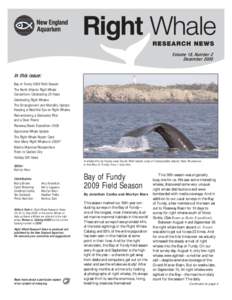 Volume 18, Number 2 December 2009 In this issue: Bay of Fundy 2009 Field Season The North Atlantic Right Whale