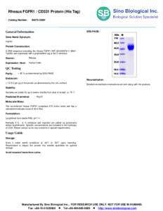 Rhesus FGFR1 / CD331 Protein (His Tag) Catalog Number: 90075-C08H  SDS-PAGE: