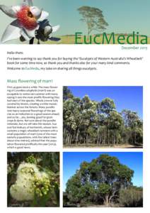 EucMedia December 2013 Hello there. I’ve been wanting to say thank you for buying the ‘Eucalypts of Western Australia’s Wheatbelt’ book for some time now, so thank you and thanks also for your many kind comments.