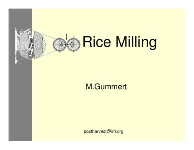 Parboiled rice / White rice / Brown rice / Mill / Bran / Maize milling / Milling yield / Food and drink / Rice / Tropical agriculture
