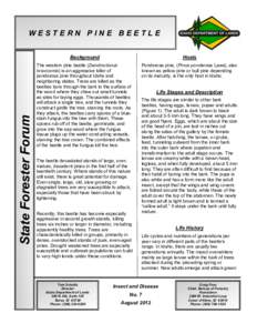 State Forester Forum  WESTERN PINE BEETLE Background  Hosts