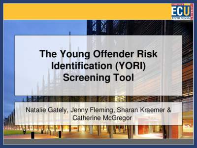 The Young Offender Risk Identification (YORI) Screening Tool Natalie Gately, Jenny Fleming, Sharan Kraemer & Catherine McGregor
