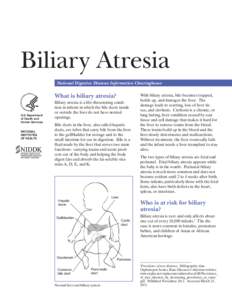 Biliary atresia / Bile duct / Liver / Hepatoportoenterostomy / Jaundice / Cirrhosis / Atresia / Bilirubin / Ascending cholangitis / Medicine / Hepatology / Health
