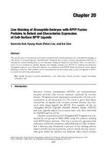 Chapter 20 Live Staining of Drosophila Embryos with RPTP Fusion Proteins to Detect and Characterize Expression of Cell-Surface RPTP Ligands Namrata Bali, Hyung-Kook (Peter) Lee, and Kai Zinn Abstract