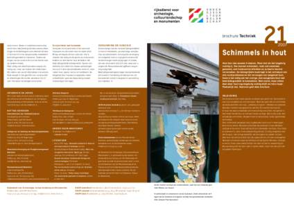 brochure Techniektaste muren. Alleen in naaldhoutconstructies