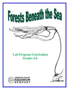 Lab Program Curriculum Grades 4-6 Program Description Thisminute lab program will introduce students to the similarities between a terrestrial forest and a kelp forest. During this program students will travel to