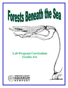 Laminariales / Aquatic ecology / Fisheries / Brown algae / Kelp forest / Kelp / Macrocystis pyrifera / Nereocystis / Stipe / Algae / Water / Seaweeds