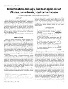 J. Aquat. Plant Manage. 33: [removed]Identification, Biology and Management of Elodea canadensis, Hydrocharitaceae KATHLEEN H BOWMER1, S.W.L. JACOBS2 AND G.R. SAINTY3 ABSTRACT
