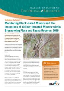 Natural history of Australia / Murray-Sunset National Park / Yellow-throated Miner / Fauna of Australia / States and territories of Australia / Noisy Miner / Manorina / Black-eared Miner / Mallee Woodlands and Shrublands