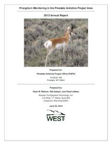 Pronghorn Monitoring in the Pinedale Anticline Project Area 2013 Annual Report Prepared for:   Pinedale Anticline Project Office (PAPO)