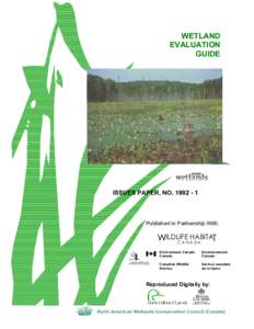 WETLAND EVALUATION GUIDE ISSUES PAPER, NO[removed]