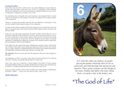 Going Further  Please bear with me while I outline some very serious thinking over more than two decades about the nature of the rule or way of life of a community. I believe that the person who establishes a rule of lif