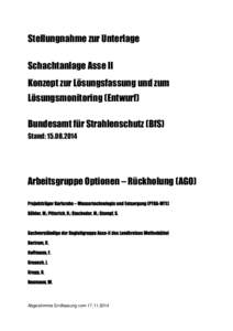 Stellungnahme zur Unterlage Schachtanlage Asse II Konzept zur Lösungsfassung und zum Lösungsmonitoring (Entwurf) Bundesamt für Strahlenschutz (BfS) Stand: 