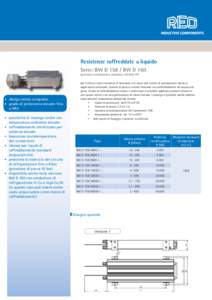 Resistenze raffreddate a liquido Serie: BW DBW D 160 (potenza continuativa massima: W) per l‘utilizzo come resistenza di frenatura o di carico per sistemi di azionamento elettrico, applicazioni industrial