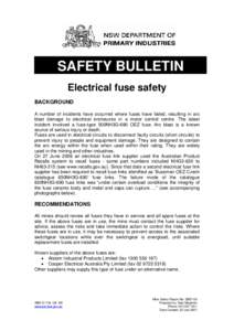 Microsoft Word - INT07[removed]SB07-06 Electrical fuse safety.DOC