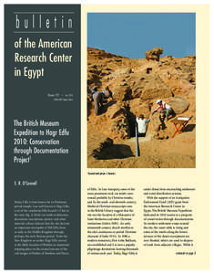bulletin of the American Research Center