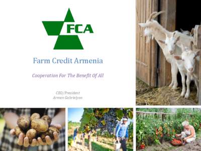 Farm Credit Armenia Cooperation For The Benefit Of All CEO/President Armen Gabrielyan  Financial market in Armenia