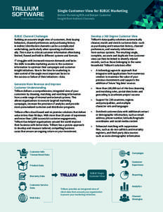 Single Customer View for B2B2C Marketing Deliver Marketing ROI and Deeper Customer Insight from Indirect Channels B2B2C Channel Challenges