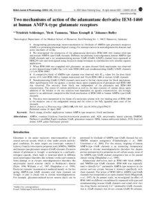 Ion channels / Cell signaling / Neurotransmitters / Amino acids / AMPA receptor / Glutamate receptor / GRIA3 / Kainate receptor / NMDA receptor / Biology / Cell biology / Ionotropic receptors