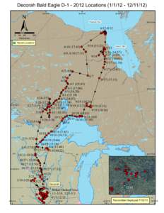 Hudson Bay  Decorah Bald Eagle D[removed]Locations[removed]12) ±