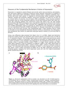 Microsoft Word - Resveratrol