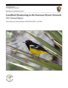 National Park Service U.S. Department of the Interior Natural Resource Stewardship and Science Landbird Monitoring in the Sonoran Desert Network 2013 Annual Report