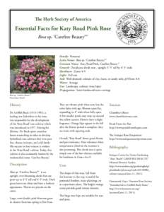The Herb Society of America  Essential Facts for Katy Road Pink Rose Rosa sp. ‘Carefree Beauty™’  Family: Rosaceae