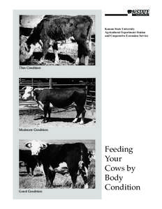 C842 Feeding Your Cows by Body Condition