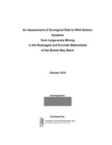 An Assessment of Ecological Risk to Wild Salmon Systems from Large-scale Mining in the Nushagak and Kvichak Watersheds of the Bristol Bay Basin