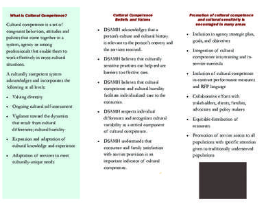 Cultural competence / Positive psychology / Special education / Cross cultural sensitivity / Mental health / Culture / Inclusion / Cultural studies / Education / Cross-cultural studies