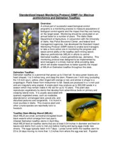 Standardized Impact Monitoring Protocol (SIMP) for Mecinus janthiniformis and Dalmatian Toadflax: Overview: A critical part of successful weed biological control programs is a monitoring process to measure populations of