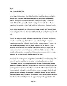 Microsoft Word - April The Great White Way.doc