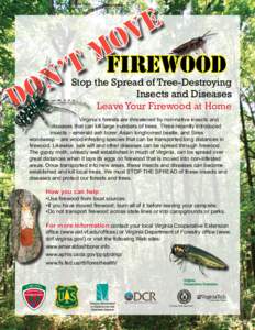FIREWOOD  Stop the Spread of Tree-Destroying Insects and Diseases Leave Your Firewood at Home Virginia’s forests are threatened by non-native insects and